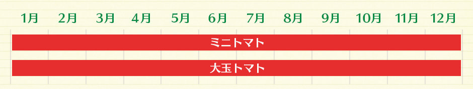 ミニトマト(1月→12月) 大玉トマト(1月→12月)