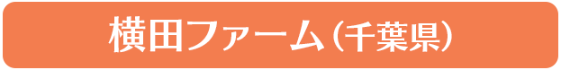 横田ファーム（千葉県）