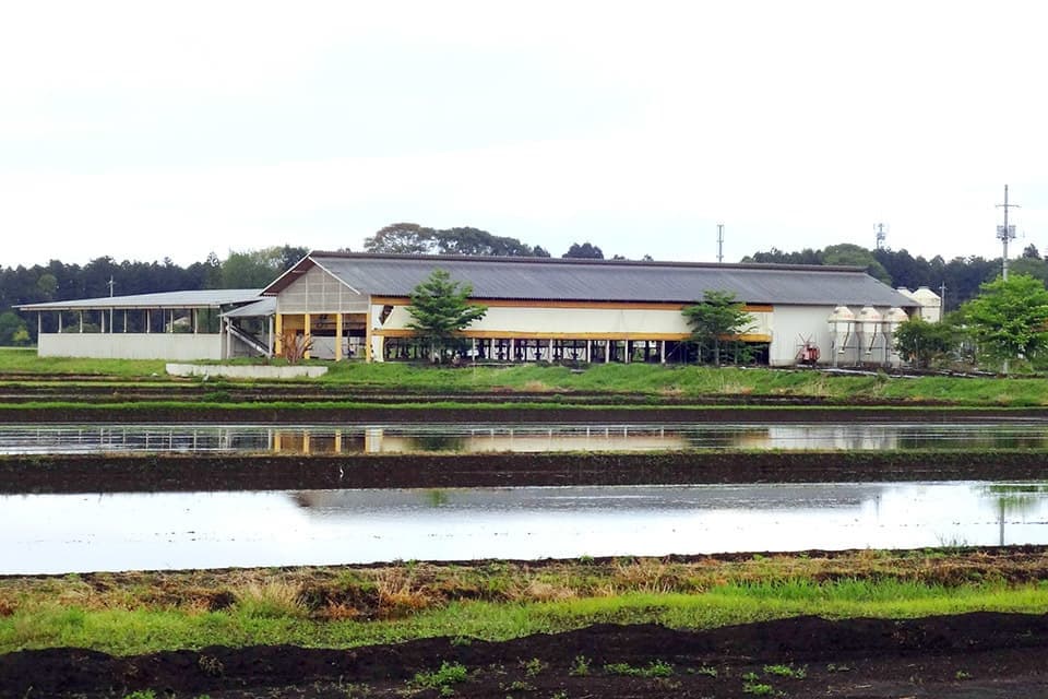 栃木農園(下野・高根沢)