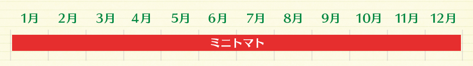 ミニトマト(1~12月)