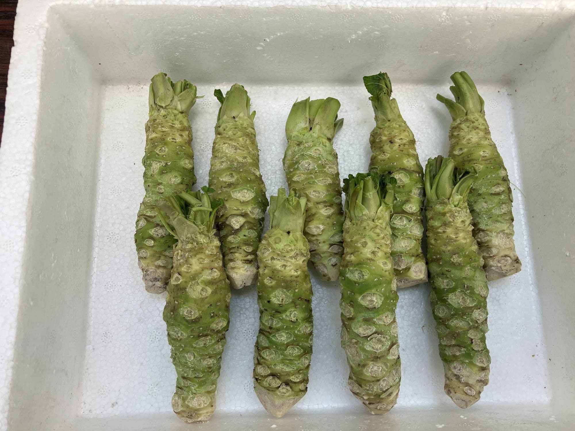 wasabi.jpg