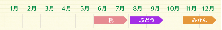 桃(6月~7月) ぶどう(8月~9月) みかん(11月~12月)