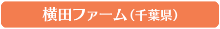 横田ファーム（千葉県）