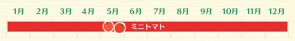 ミニトマト（1～12月）