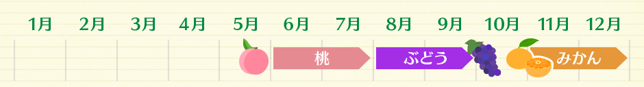 桃（６月～７月） ぶどう（８月～９月） みかん（１１月～１２月）